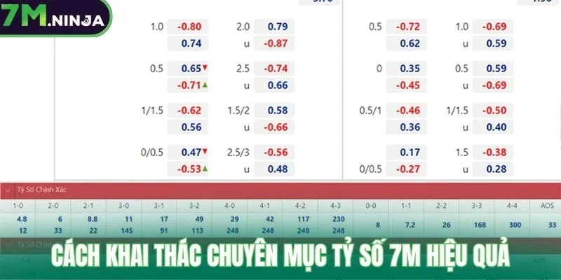 Cách khai thác chuyên mục tỷ số 7M hiệu quả