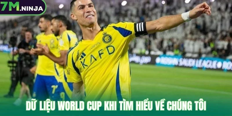 Dữ liệu World Cup khi tìm hiểu về chúng tôi