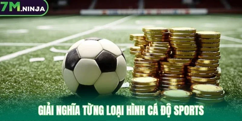 Giải nghĩa từng loại hình cá độ sports