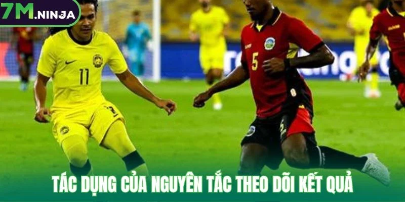 Tác dụng của nguyên tắc theo dõi kết quả 
