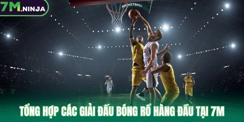 Tổng hợp các giải đấu bóng rổ hàng đầu tại 7M