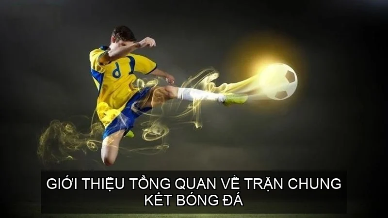 Giới thiệu tổng quan về trận chung kết bóng đá